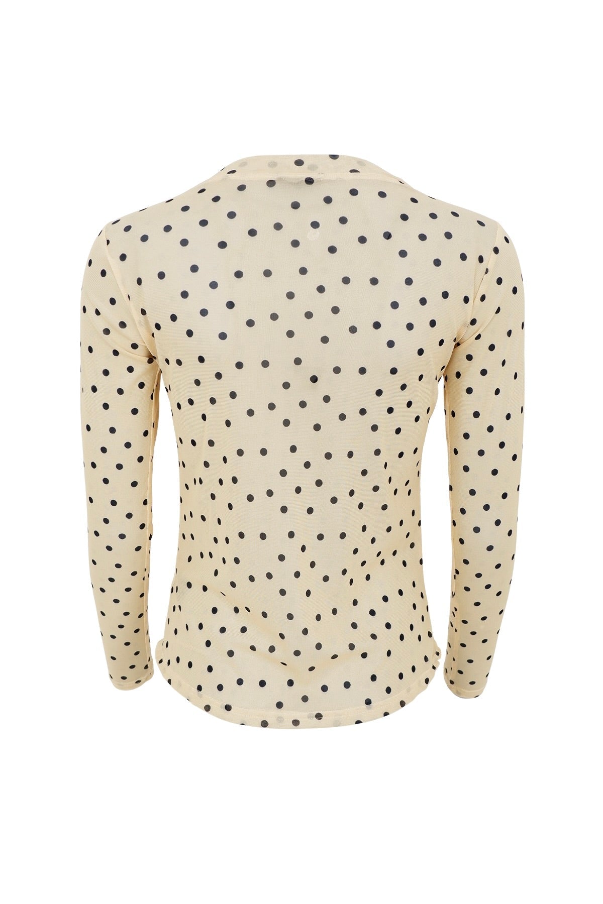 Annie Mesh Blouse | Yellow Polka Dot | Top by Black Colour